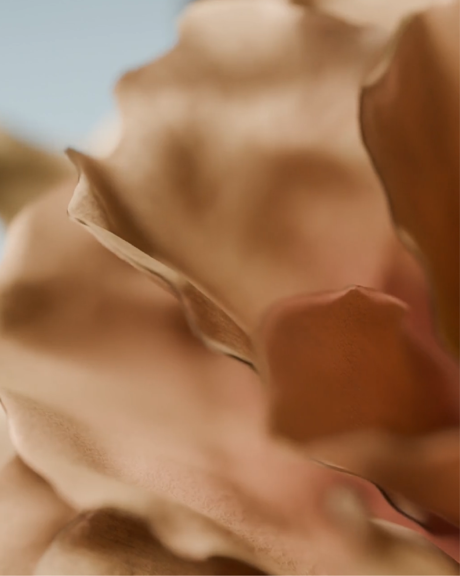 Cover Marina Rinaldi